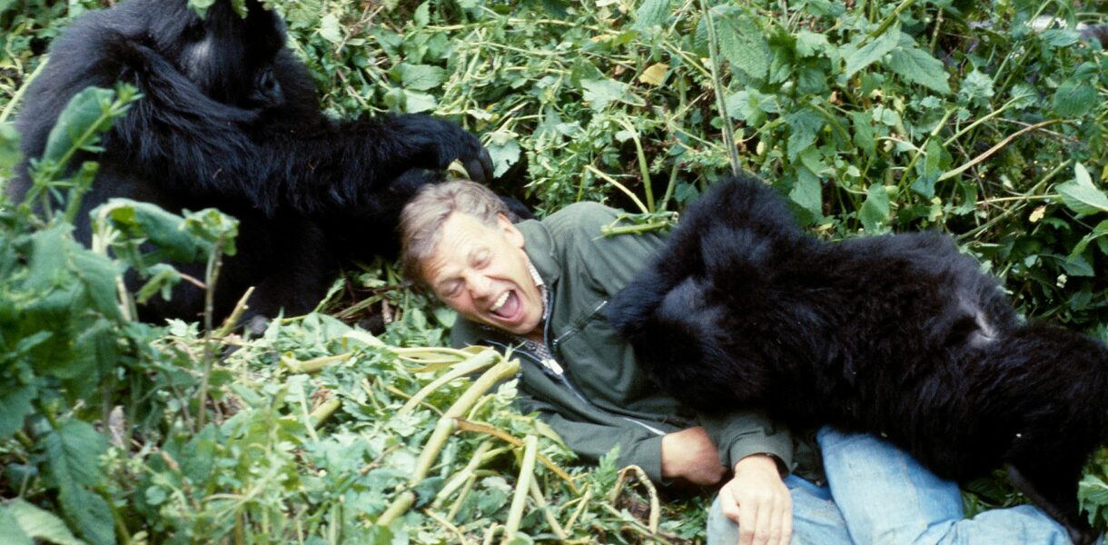david attenborough documental una vida en nuestro planeta netflix